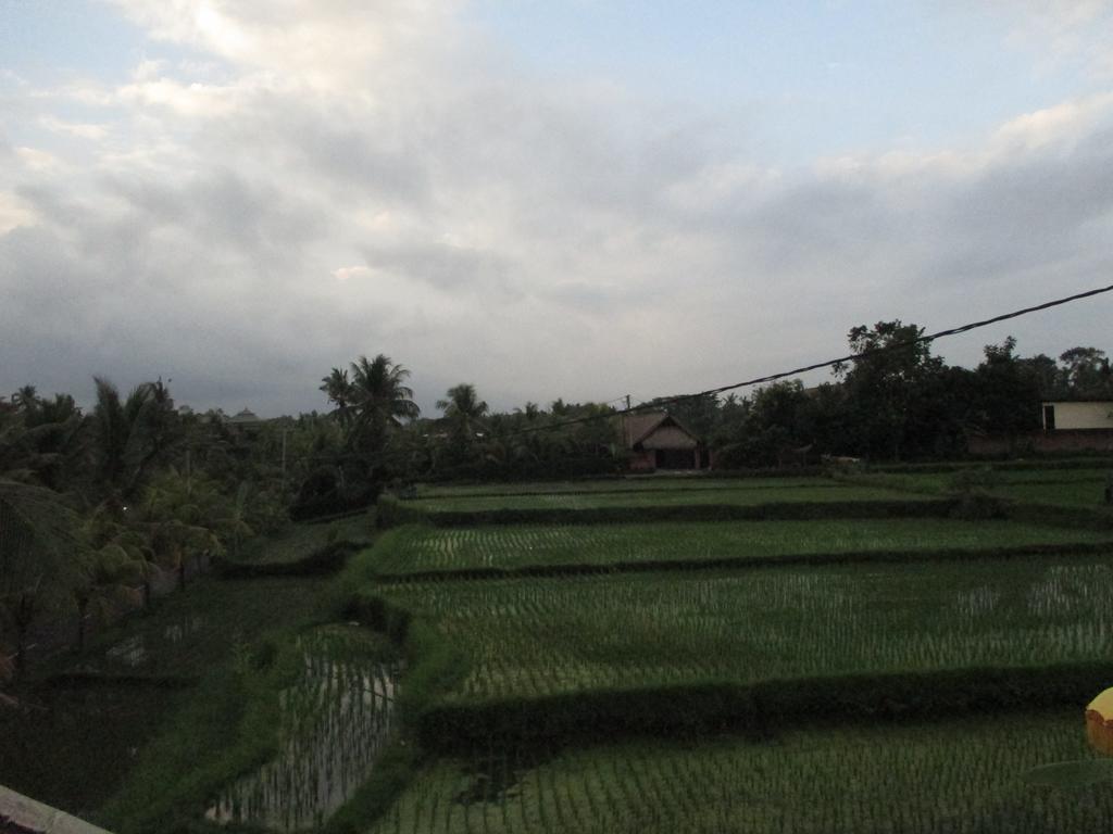 Ancut Sari Hotel Ubud Exterior foto