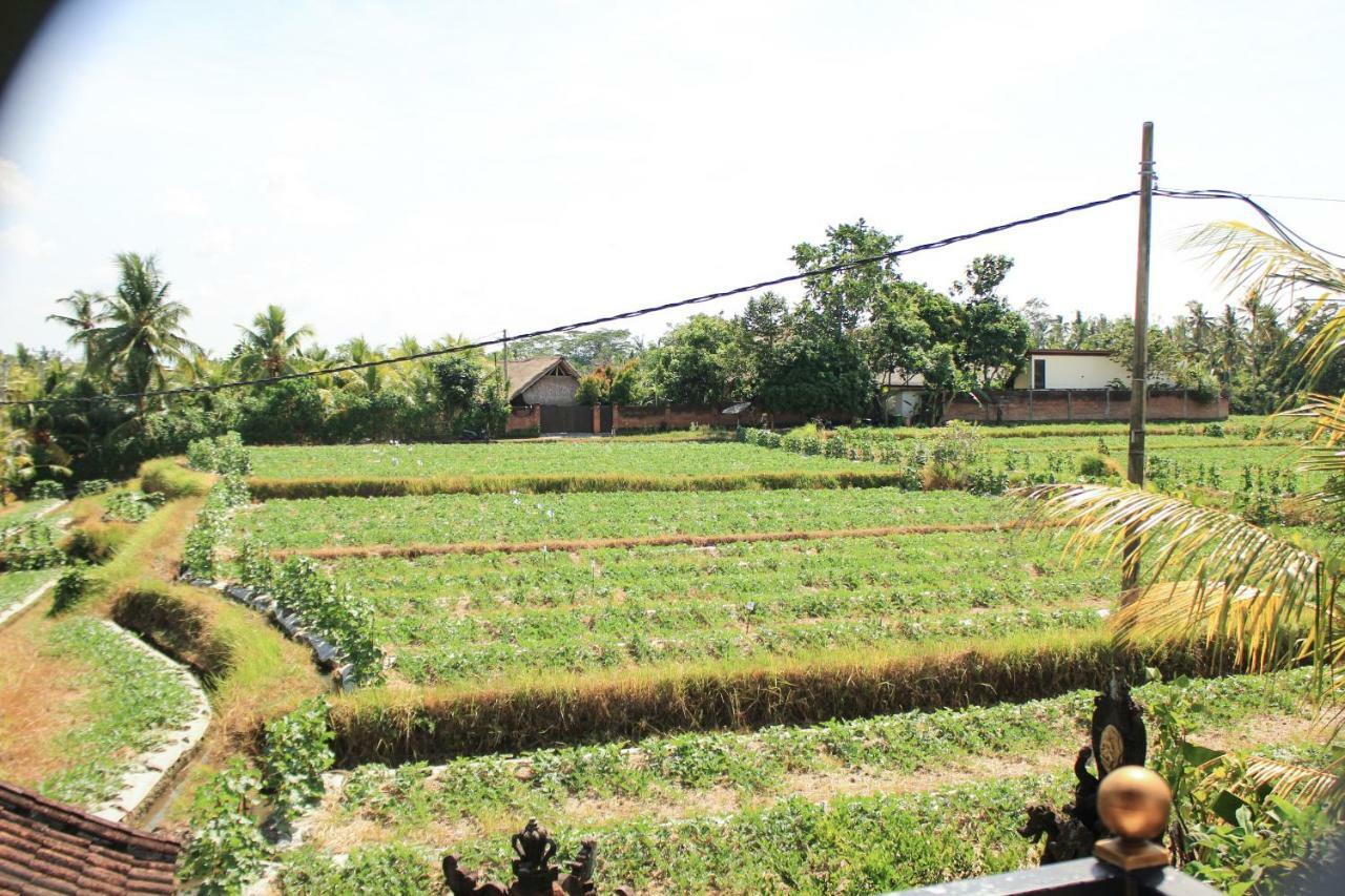Ancut Sari Hotel Ubud Exterior foto